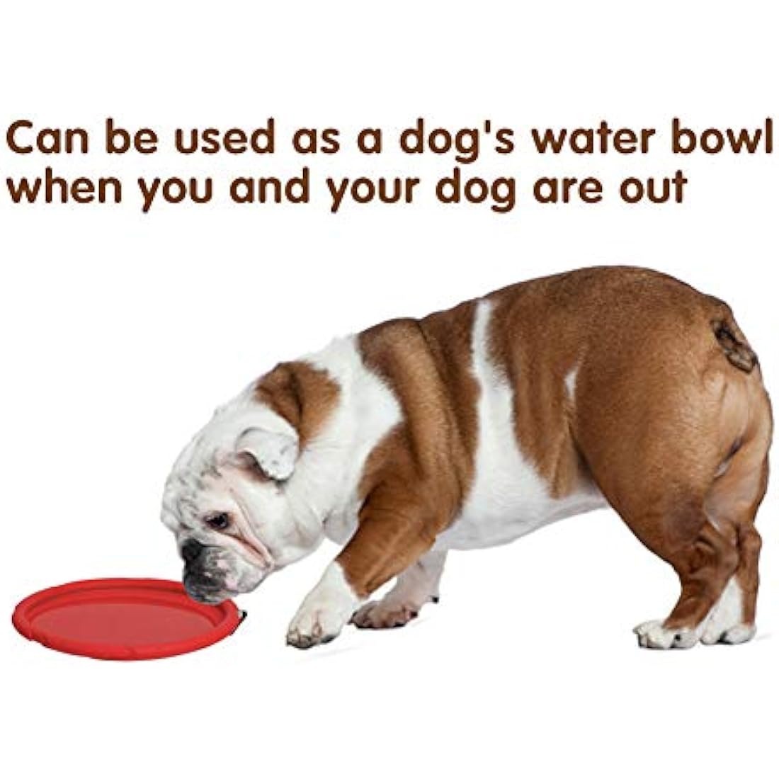 Vivifying Dog Flying Disc, 2 Pack 7 Inch Natural Rubber Floating Flying Saucer for Both Land and Water (Green + Red)