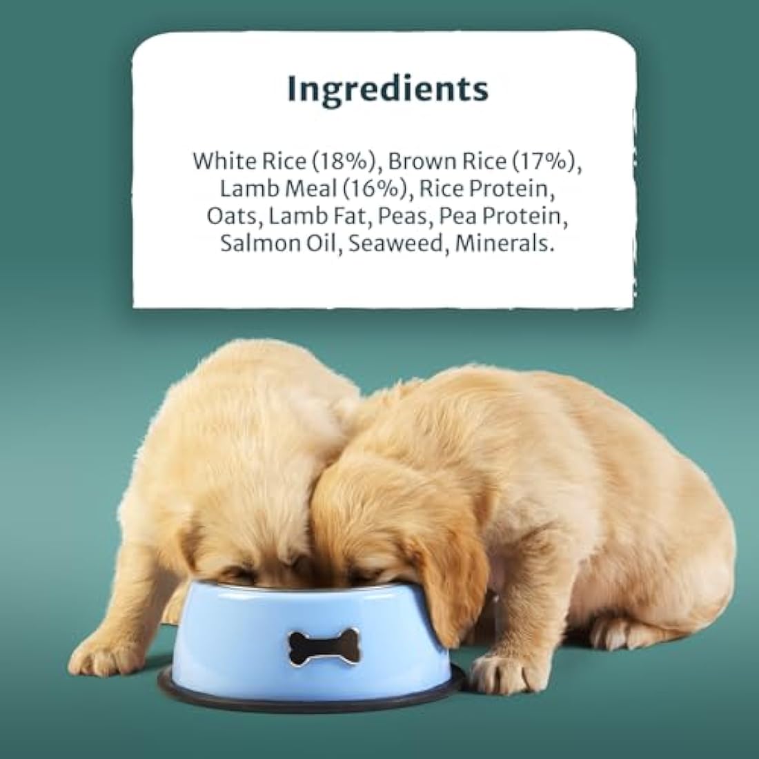 Burns Pet Nutrition Hypoallergenic Complete Dry Dog Food Puppy Original Lamb and Rice 6 kg
