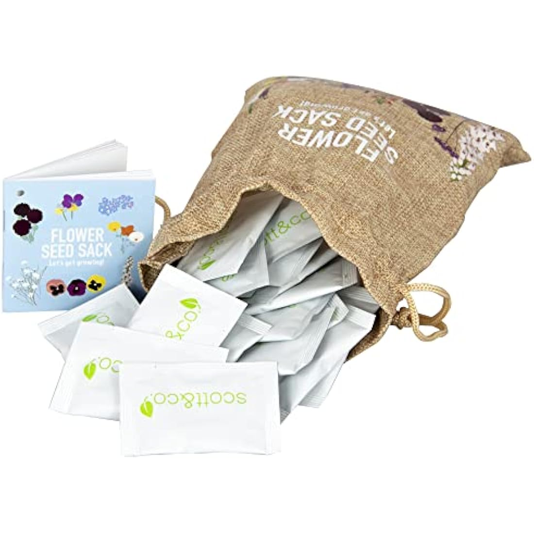 Scott&Co. Flower Seed Variety Pack - 30 Different Varieties of Flower Seeds to Grow Your Own. Butterfly and Bee Attracting, Grow Indoor and Outdoor. Mother's Day Gifts for Women and Men.