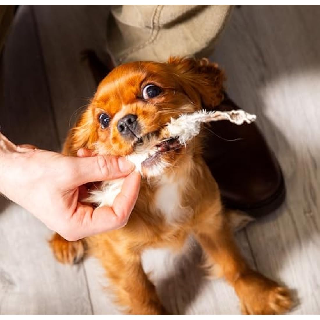 Natural Treats Air Dried Hairy Rabbit Ears (1kg) Low Fat Dental Chew Dog Treats