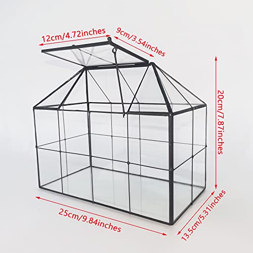 NCYP Geometric Glass Terrarium - 25x13.5x20 cm House Shape Terrarium Planter for Succulents, Cacti - Modern Home Indoor Tabletop Decor, Centerpiece,