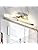 MantoLite LED Bathroom Wall Light with Pull Cord 15.75 Inches Picture Lights for Wall Mirror Lighting Fixtures for Hotel Restaurant Modern Reading Lamps 8W 3000K