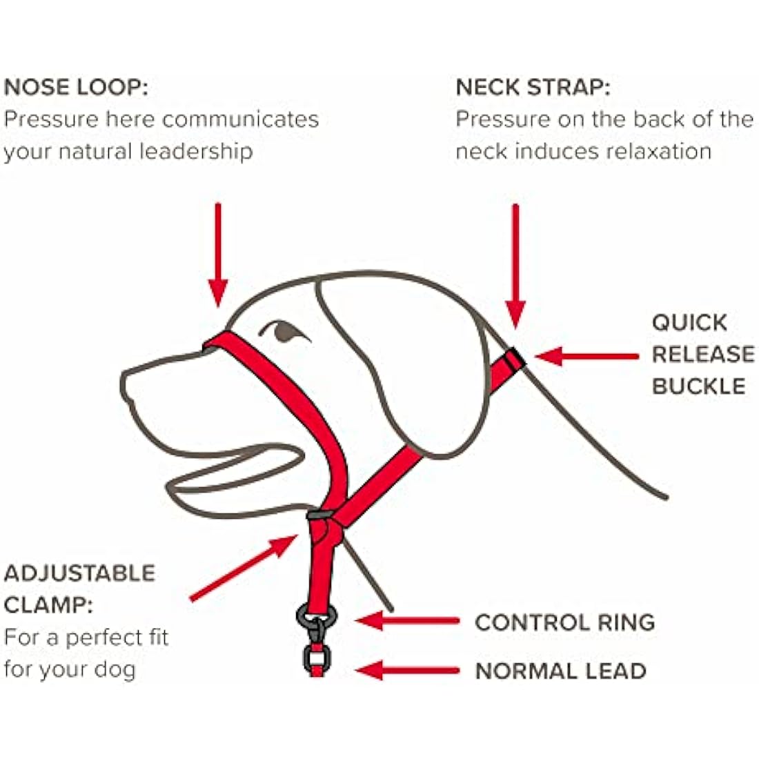 Beaphar | Gentle Leader | Head Collar for Medium Dogs | Stops Pulling On The Lead | Training Aid with Immediate Effect | Endorsed by Behaviourists | Black x 1