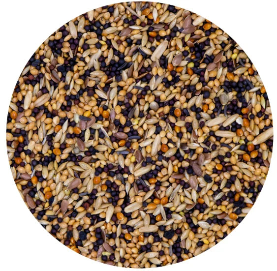 Vaesen – Universal Aviary Bird Seed– 42