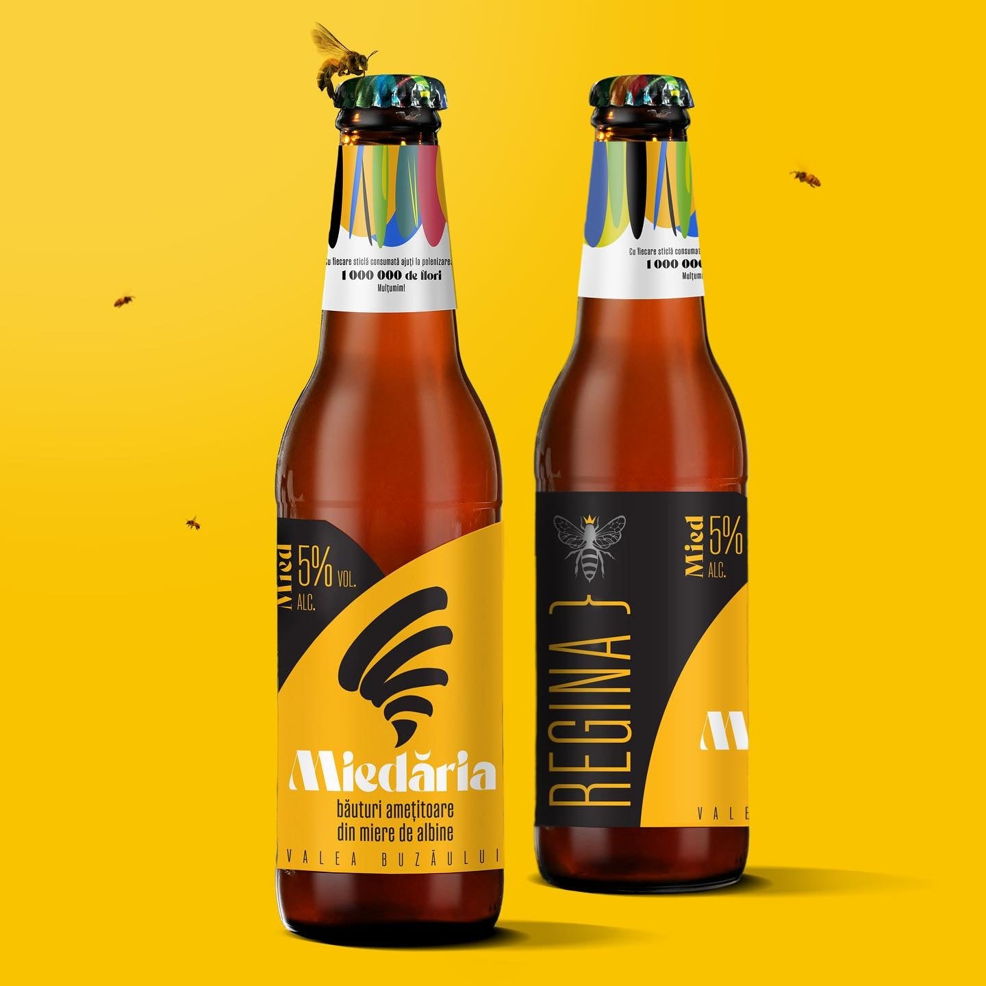 Queen Craft Mead (Mied Regina) Honey Beer by Miedaria 4x330ml 5% ABV