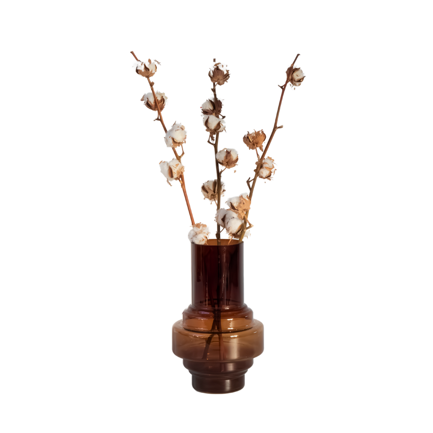 Dried flowers - 3 pcs. - Bouquet 'Cotton branch' - Dryflowers