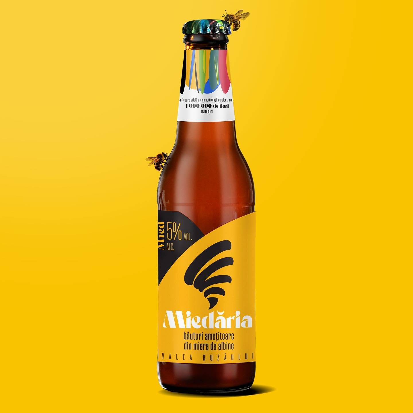 Queen Craft Mead (Mied Regina) Honey Beer by Miedaria 4x330ml 5% ABV