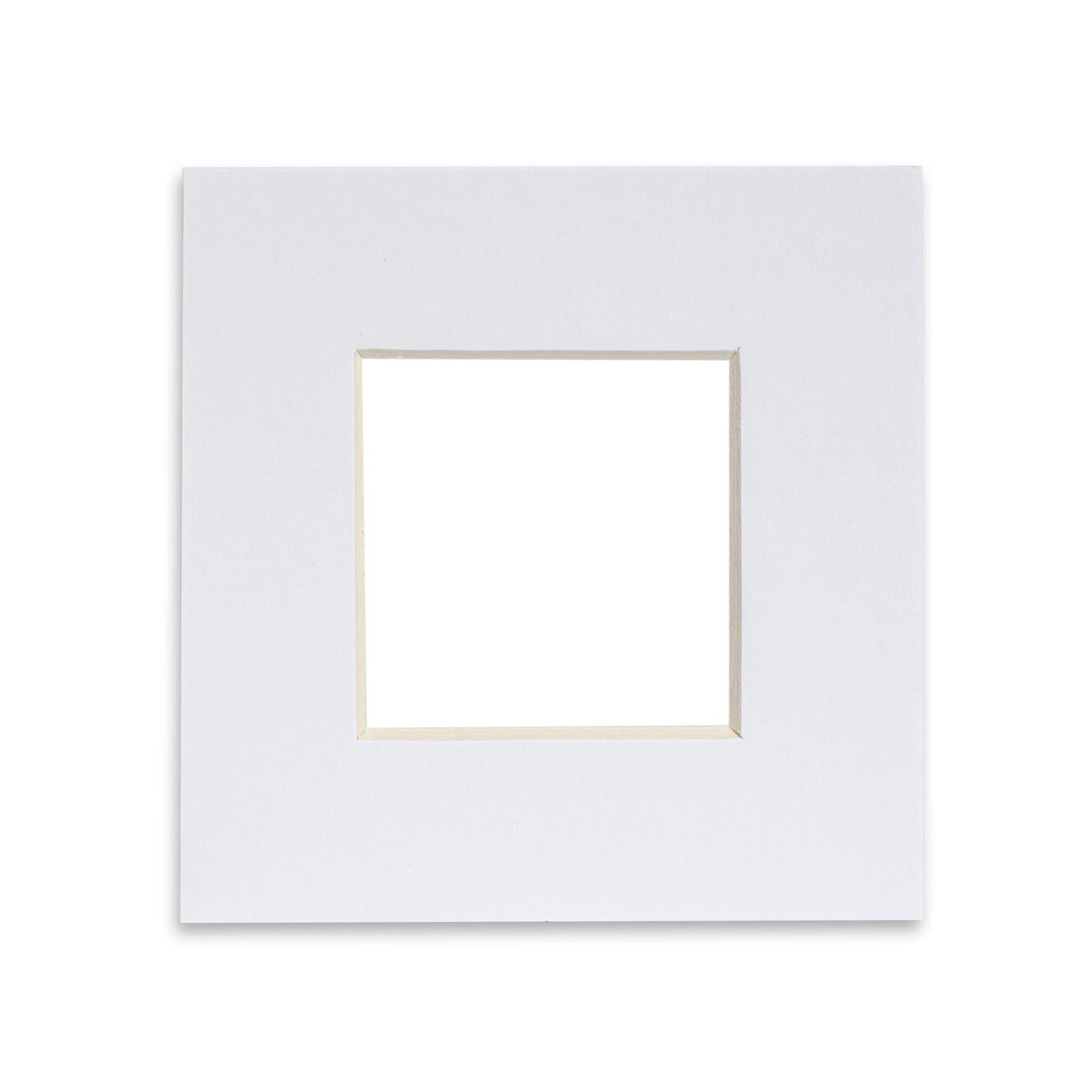 2" x 2" Picture Mount for 4" x 4" Frame