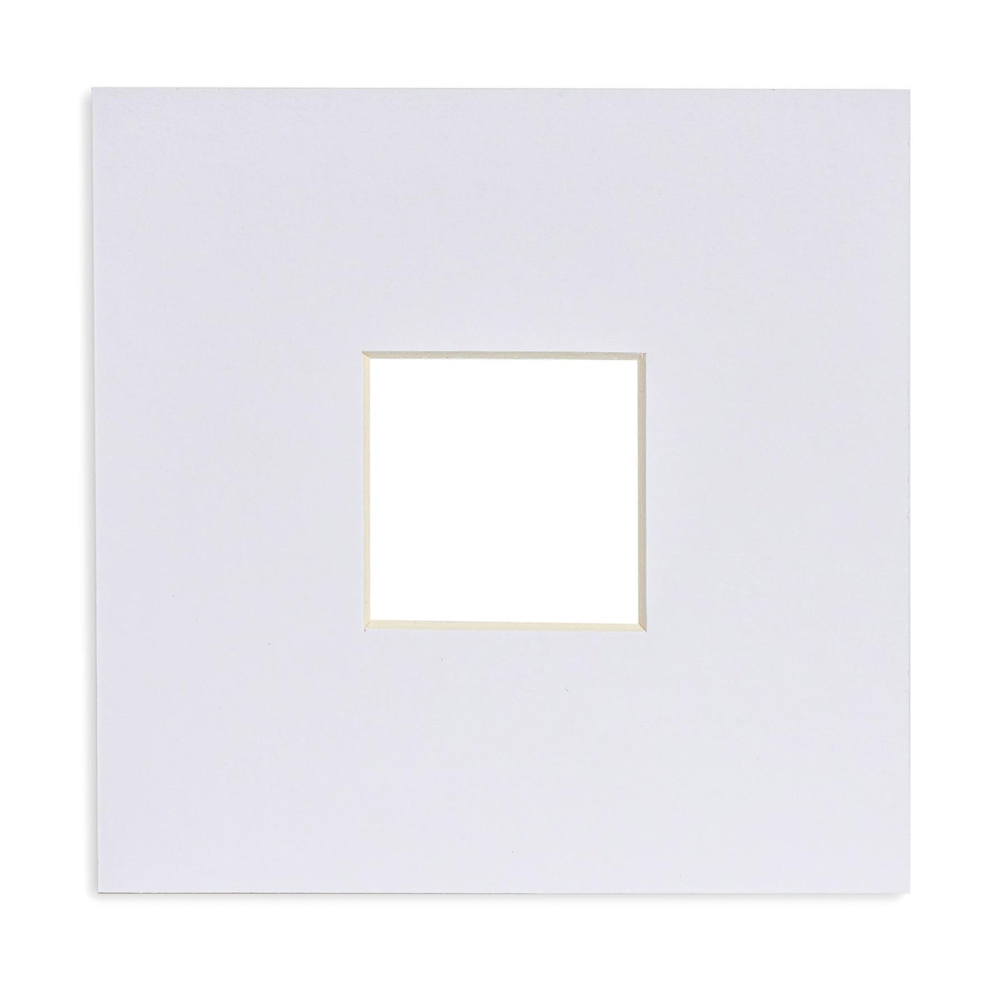 2" x 2" Picture Mount for 6" x 6" Frame