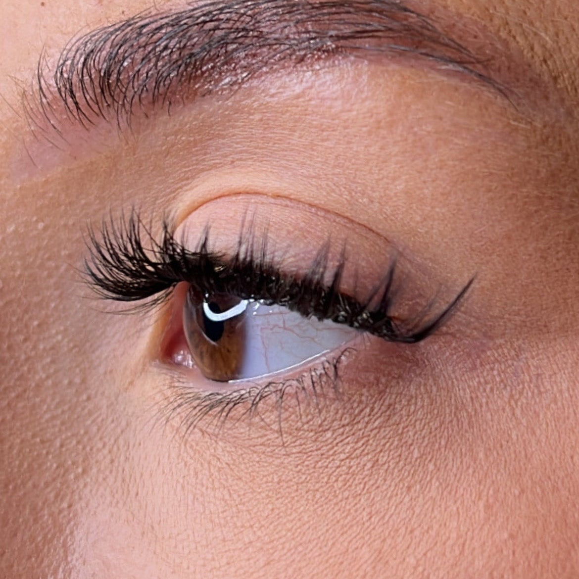 Pre-Glued Lashes - K Glue No Faff Lash - Mor