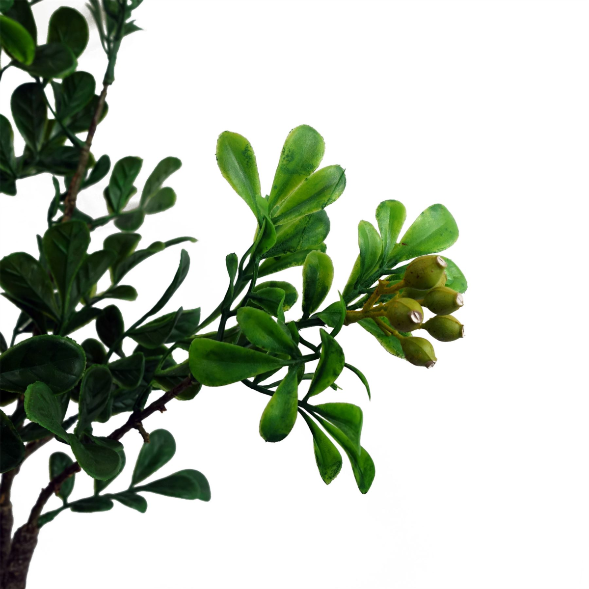 60cm Artificial Aglaia Odorata Bonsai Ficus Tree