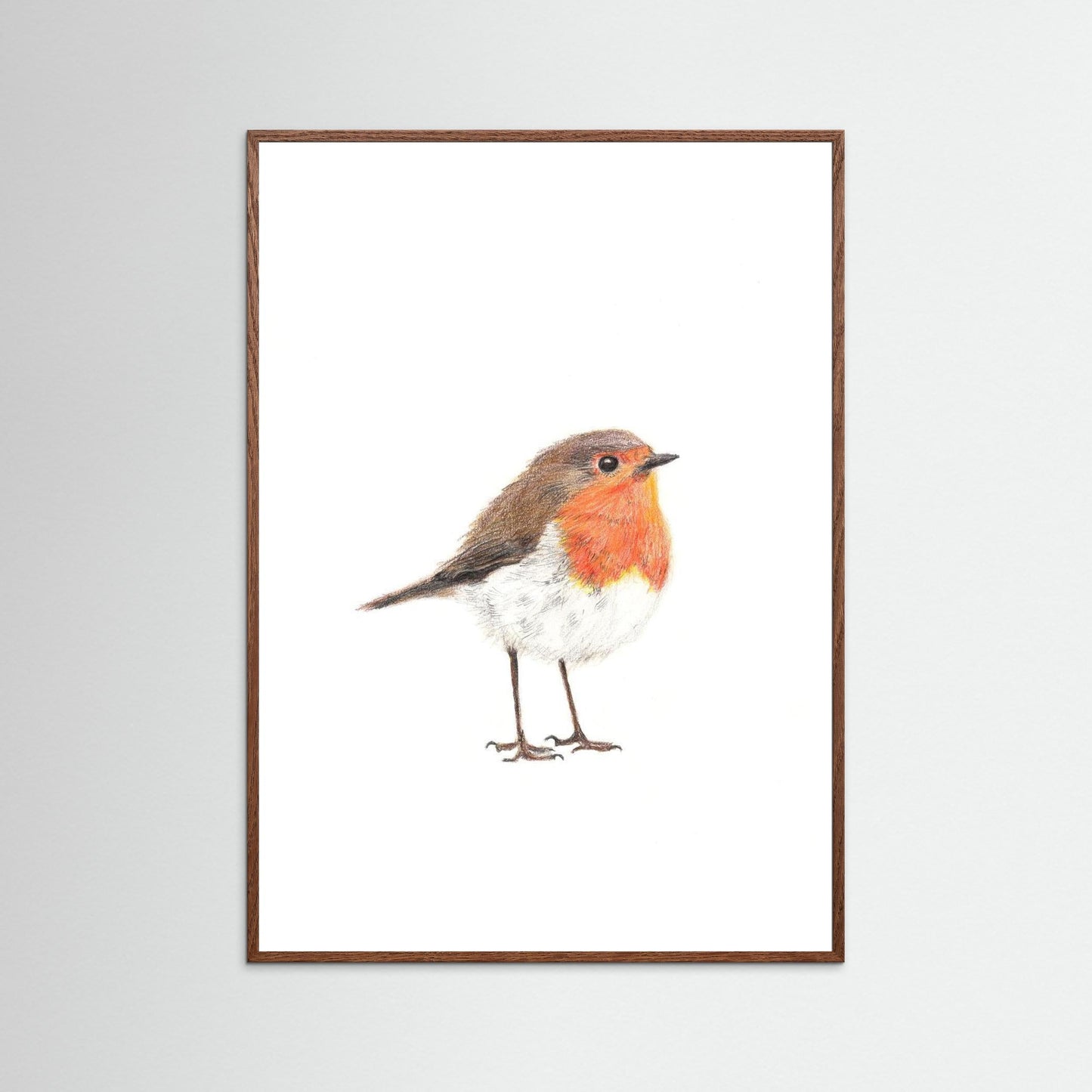 Robin Woodland Art Print
