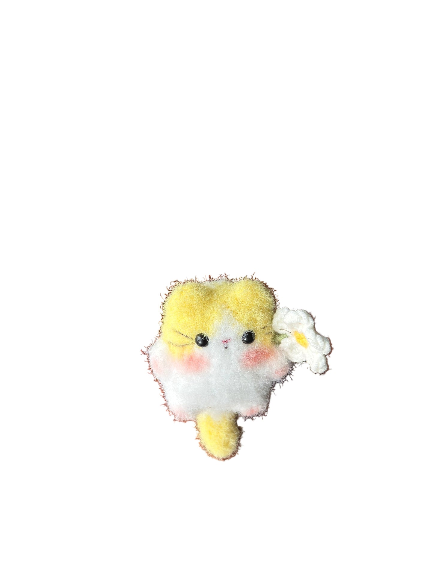 Little Square Cute Kitten Collection
