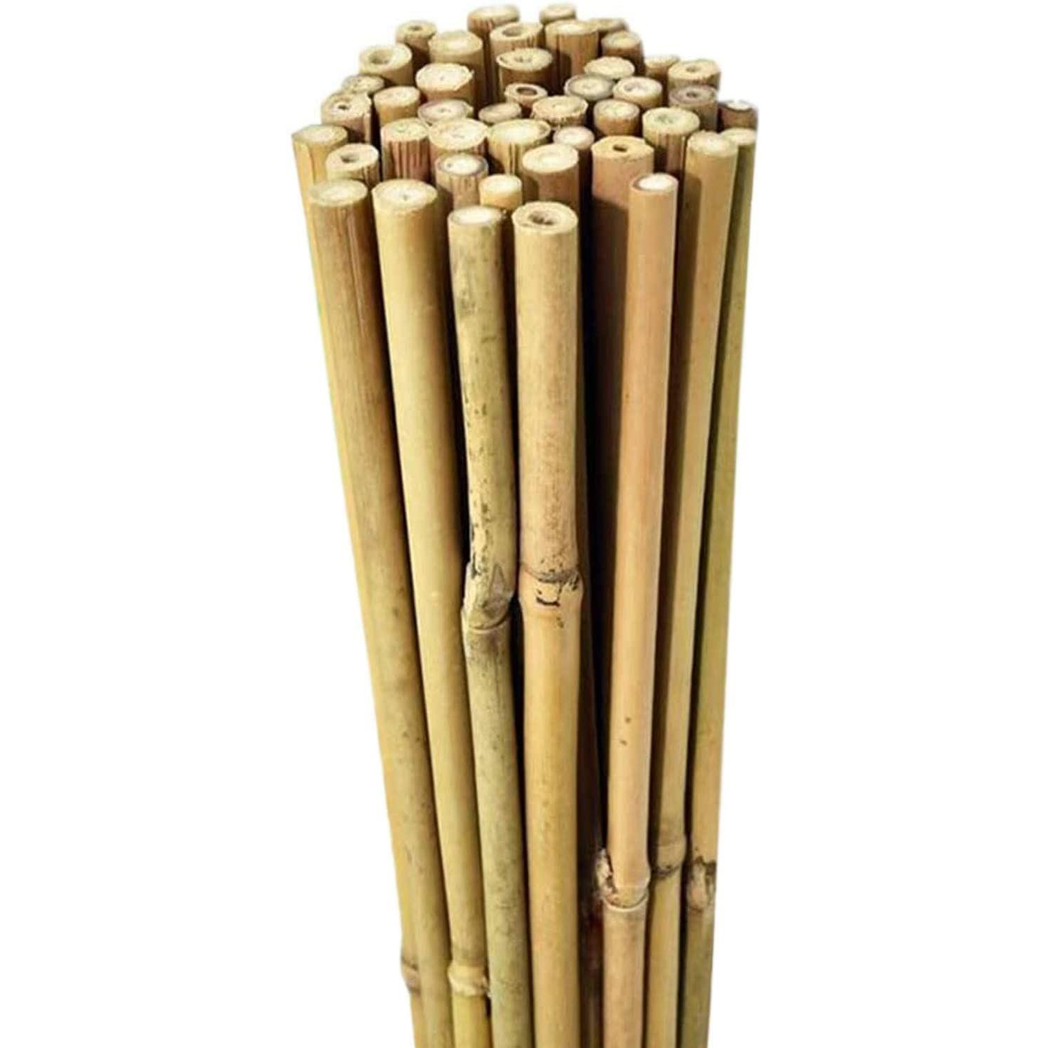 10 x 5FT Bamboo Canes 150 CM