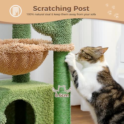 PAWZ Road Cactus Cat Tree for Indoor Cats with Super Large Condo, Cat Tower with Scratching Post, Large Hammock, Dangling Ball and Top Perch, 79cm