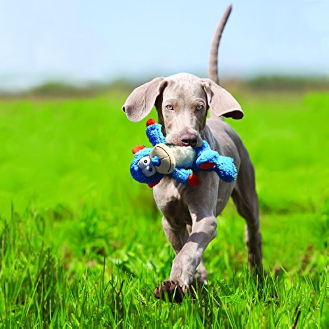 KONG - Cross Knots Monkey - Internal Knotted Ropes and Minimal Stuffing for Less Mess - For Small and Medium Dogs