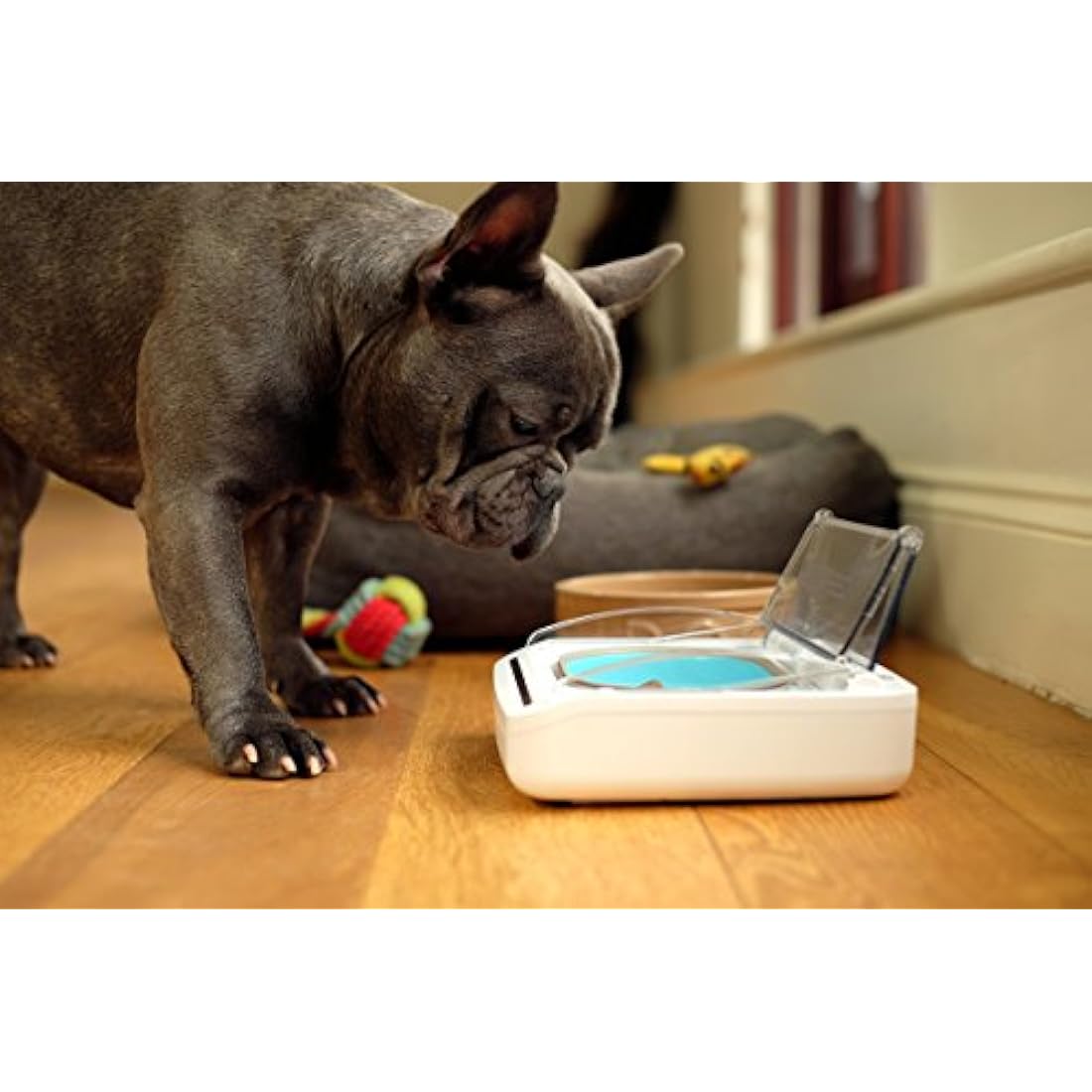 Sure Petcare SureFeed Sealed Pet Bowl for Cats and Small Dogs, Motion Activated Lid, Works for Wet and Dry Food, Keeps Food Fresh, Locks Odours in, White, 4xC Cell Batteries Required, Not Included