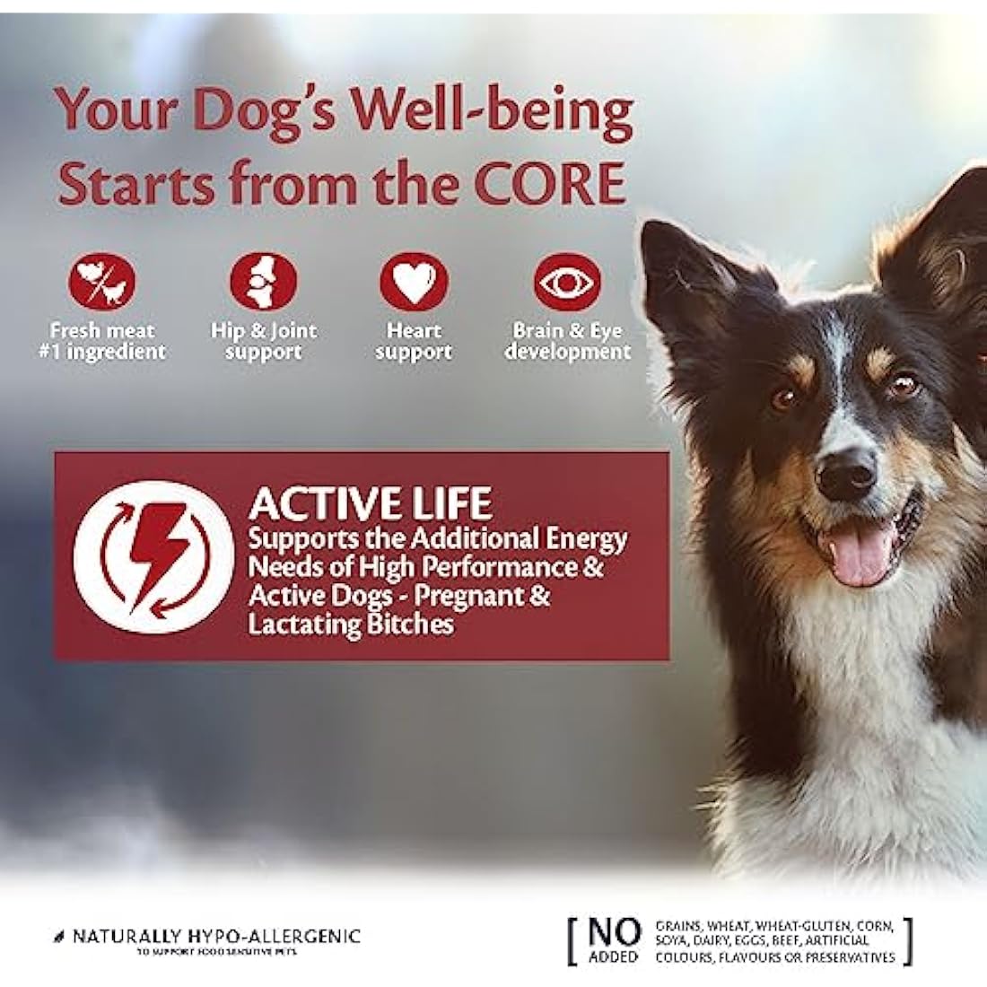 Wellness CORE Adult Active Life, 10kg, Chicken & Turkey, Dry Dog Food for All Dog Breeds, Grain-Free, High Meat Content, Protein-Rich, Supports Active Dogs & Lactating Bitches