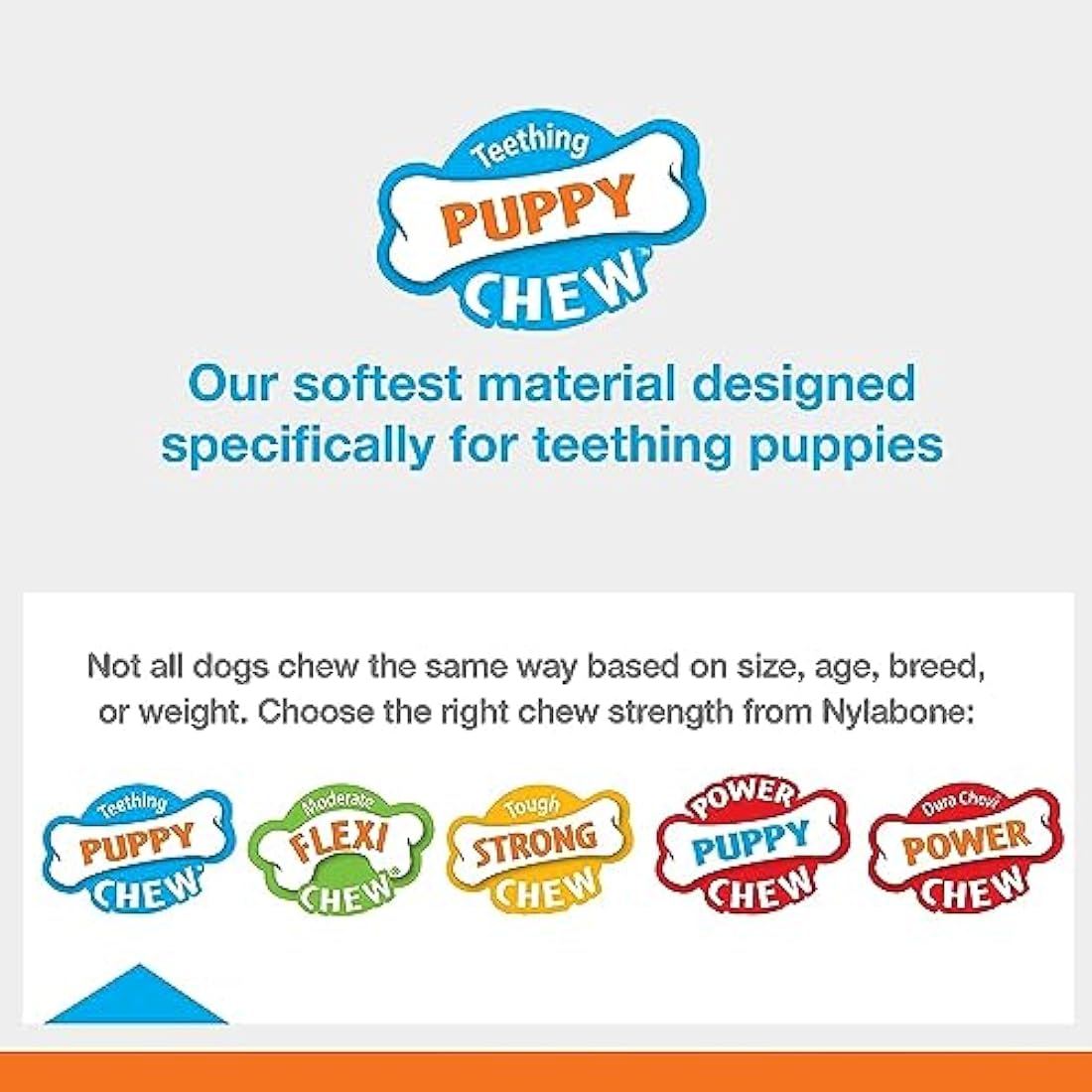 Nylabone Gentle Puppy Dog Teething Chew Toy Keys, Bacon Flavour, Extra Small, for Puppies Up to 7 kg