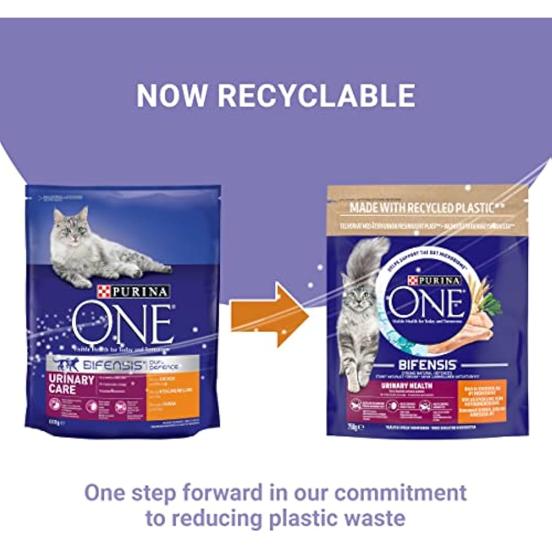 PURINA ONE Urinary Health Chicken Dry Cat Food 750g (Pack of 4)