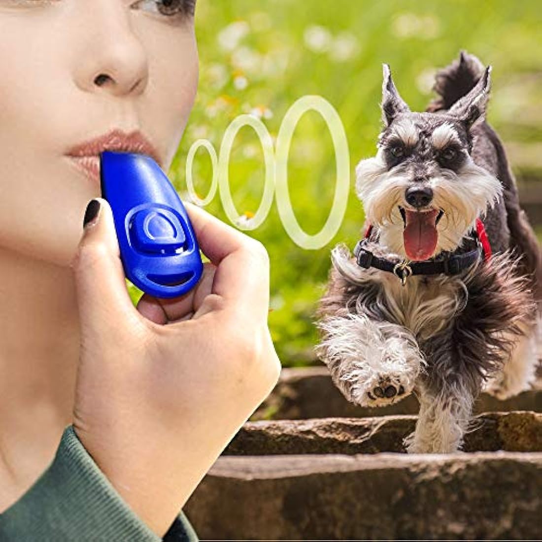 Symphonyw Dog Training Clickers, 4PCS Dog Whistle Clicker 2 in 1 Whistle and Clicker Pet Training Tools with Wrist Strap