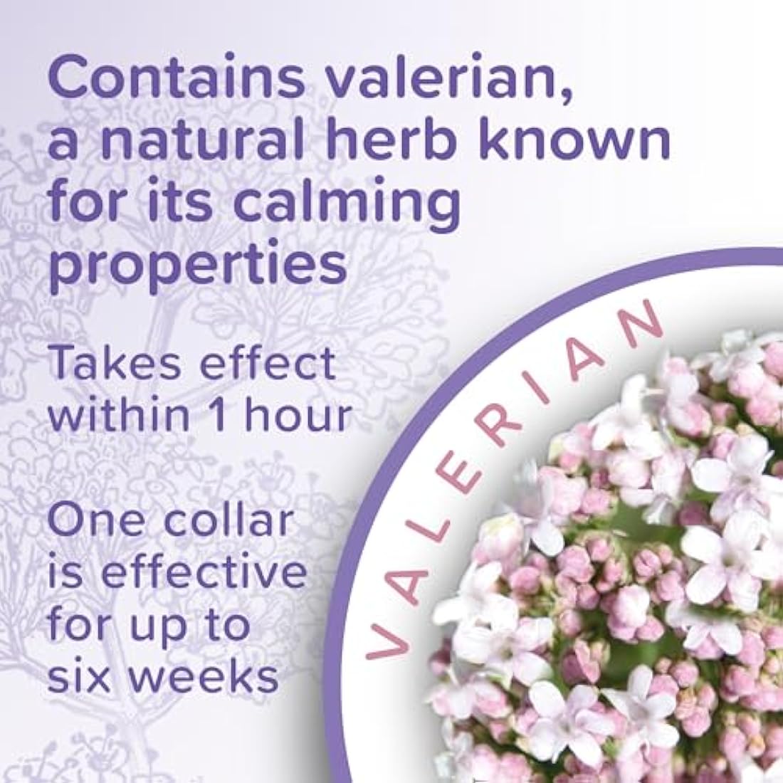 Beaphar - Herbal Calming Collar - For Cats - For Fireworks, Thunderstorms, Car Travel & Long-Term Stress - Contains the Natural Herb Valerian - Up to 6 Weeks of Calming - 1x Adjustable 65cm Collar