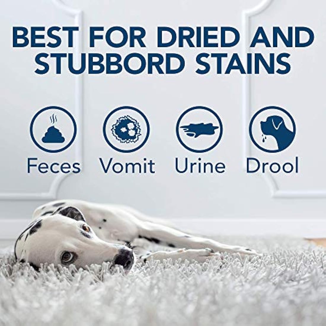 OUT! Urine Stain & Odour Destroyer for Pets | Enzymatic Pro-Bacteria Cleaner - 1 Litre