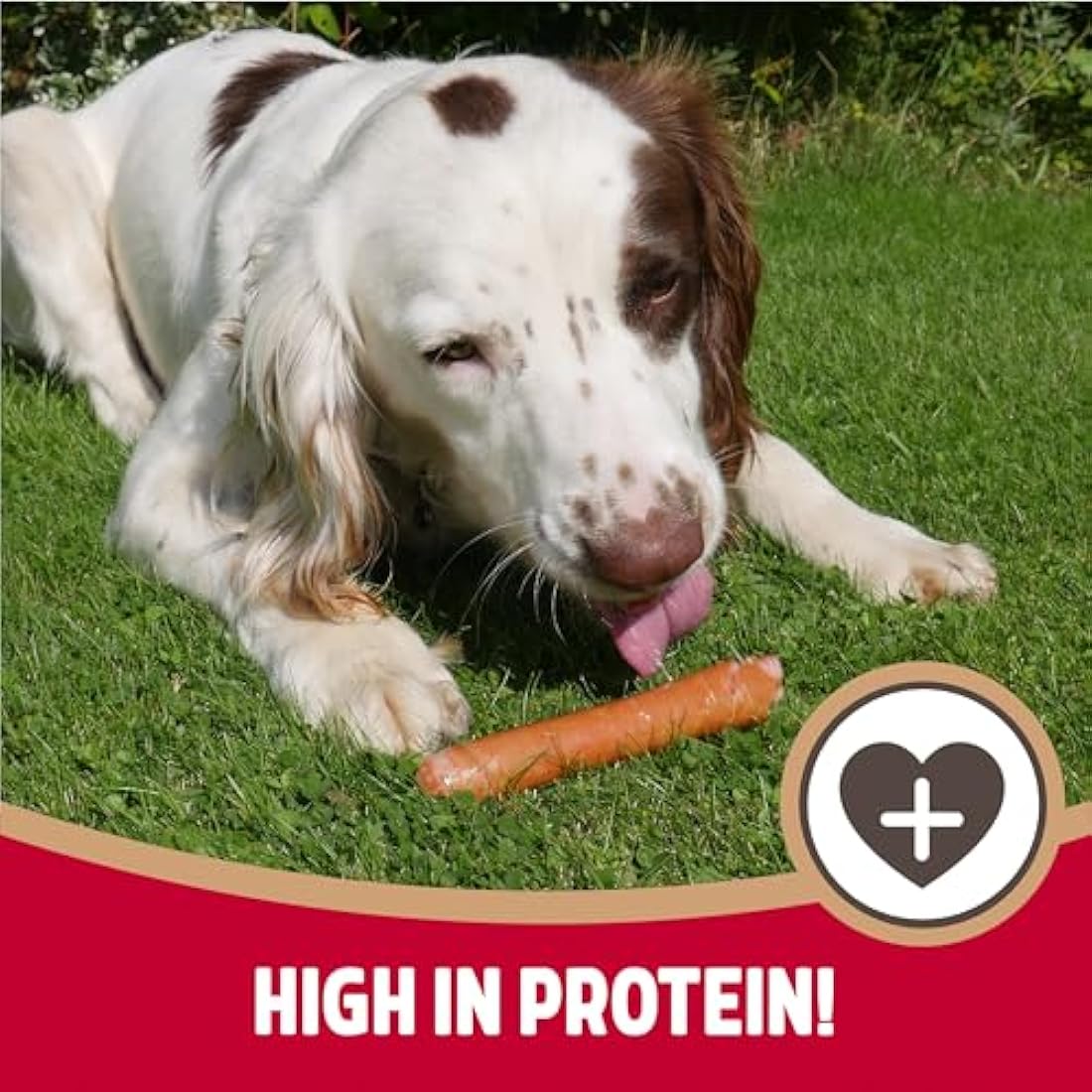 Rosewood Hot Dog Sausages for Dogs - Gluten Free Sausages, Made with Real Chicken and Pork Meat, Meaty Treats for Small, Medium, Large Dogs and Puppies (Case of 12 x 220g)