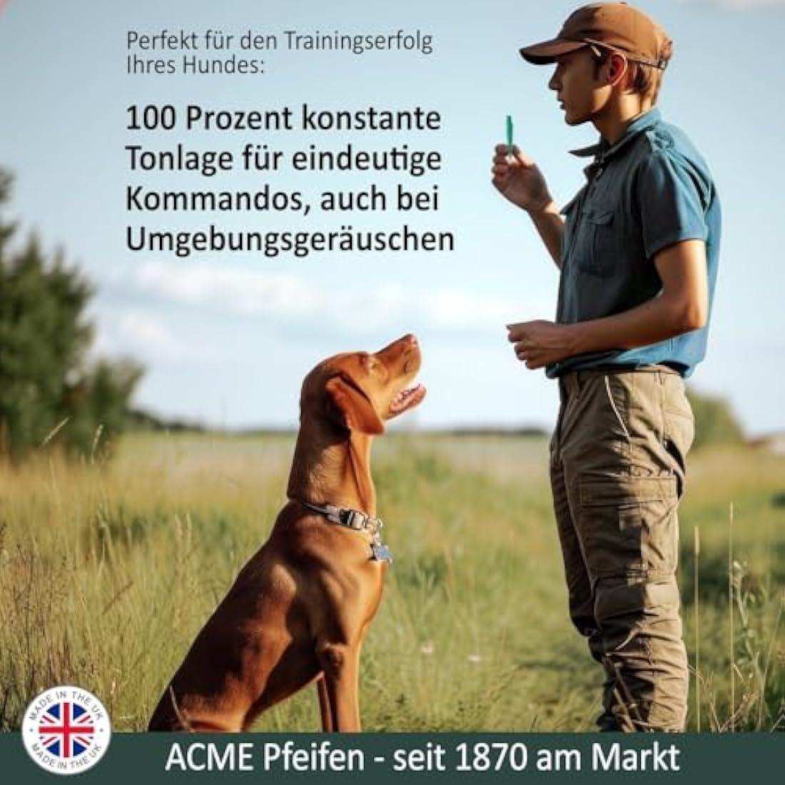 ACME 211.5 dog whistle with whistle band