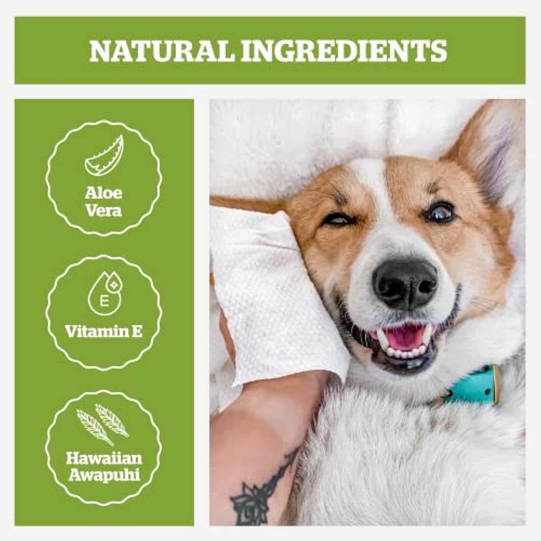 Pogi’s Dog Wipes – Plant-Based, Hypoallergenic Wipes for Dogs and Puppies – Green Tea Scented, 400-Count