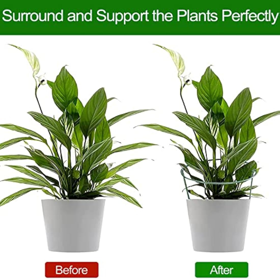 VLYHGO 6PCS 44x20cm Plant Supports for Garden Half Round Ring Plant Support Large Metal Garden Supports for Tomatoes Tulips, Roses, Daisies, Lavender
