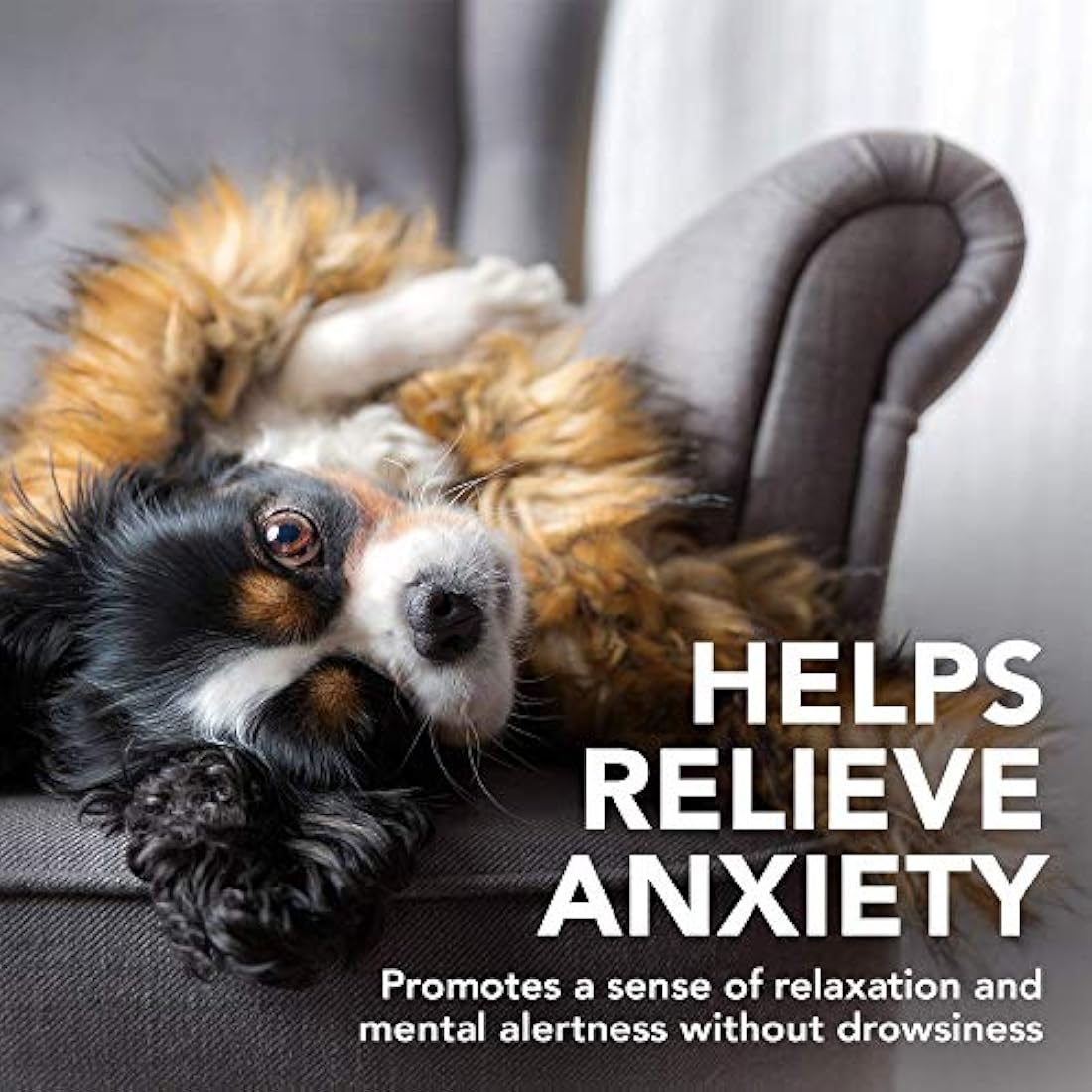 Vet's Best Comfort Calm Calming Dog Supplements | Dog Calming Aid | Promotes Relaxation and Balanced Behaviour | 60 Chewable Tablets