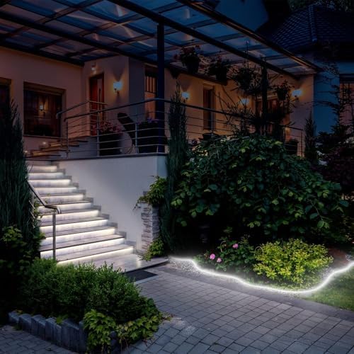 Lucienstar White LED Strip Lights - 24v Cool White Dimmable Neon Light Strip, 10M IP67 Waterproof Strip Lights,Flexible Neon Strip Light for Home Decor (Power Adapter Included)