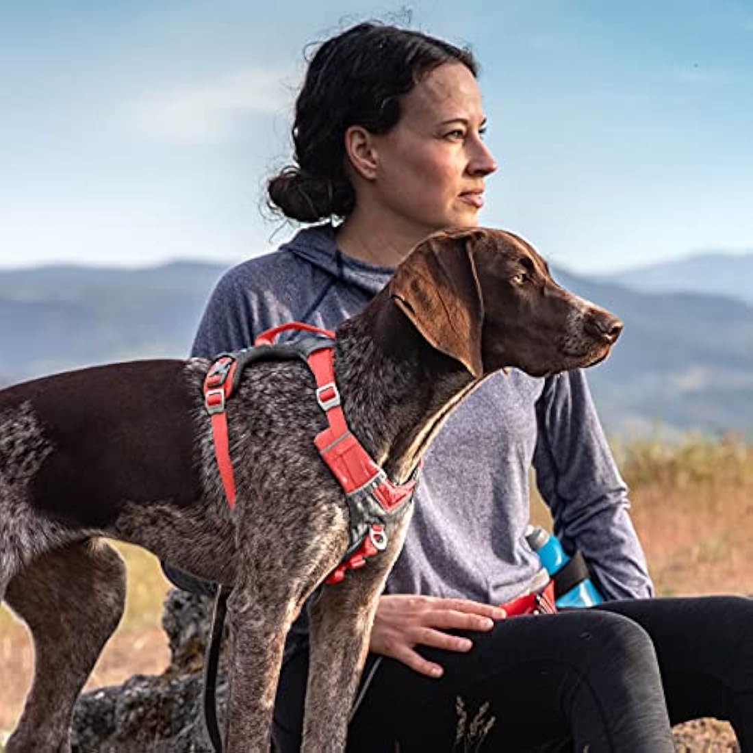 Kurgo Journey Air Harness, Coral, L