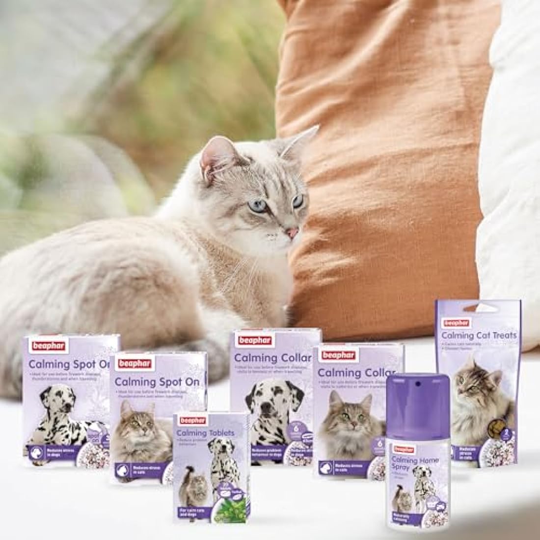Beaphar - Herbal Calming Collar - For Cats - For Fireworks, Thunderstorms, Car Travel & Long-Term Stress - Contains the Natural Herb Valerian - Up to 6 Weeks of Calming - 1x Adjustable 65cm Collar