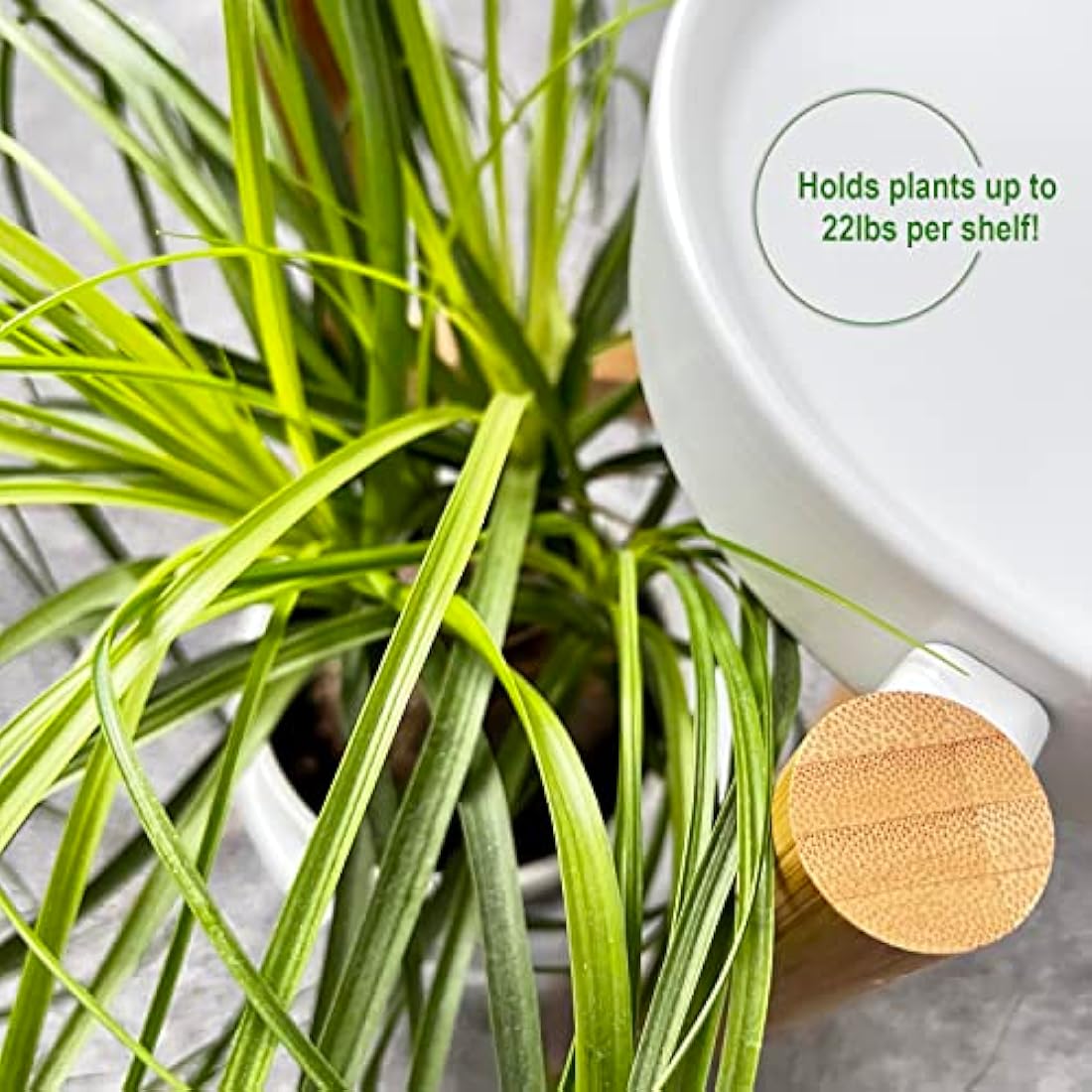 the lux | Bamboo Plant Stand | 3 Tier Tall Flower Pots Holder, Indoor Display Rack for House Plants, Home Décor Corner Shelf for Living Room, Office and Outdoor Garden Patio