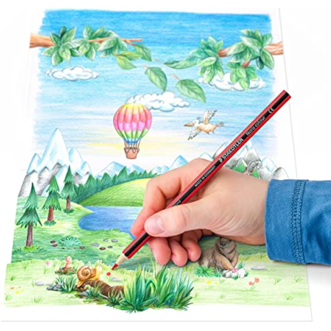 STAEDTLER 185 CD36 Noris Colour Pencil - 36 Assorted Colours (Pack of 36 Pencils)