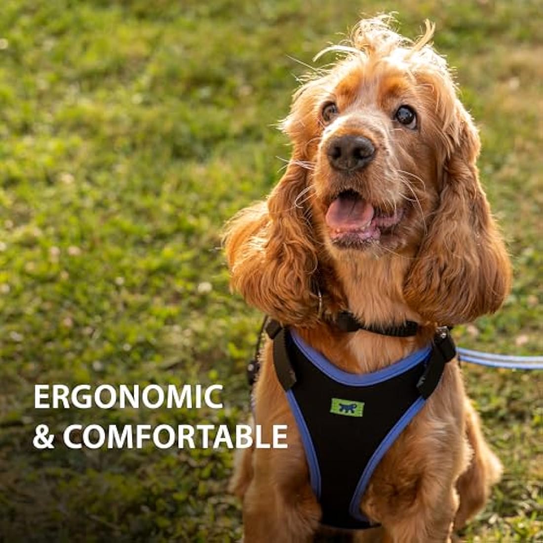 Ferplast Medium Size Dog Harness ERGOCOMFORT MEDIUM, Adjustable Dog Harness, Comfortable, Padded, Double Micro-adjustment Closure, Quick Release, Blue