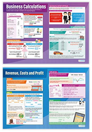 Daydream Education Accounting and Finance Classroom Posters - Set of 7 - EXTRA LARGE - A1 (850mm x 594mm) - Laminated - Business Studies Secondary School Wall Charts