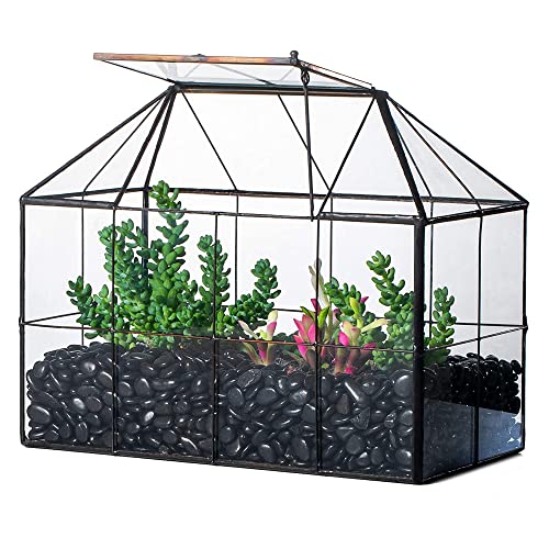 NCYP Geometric Glass Terrarium - 25x13.5x20 cm House Shape Terrarium Planter for Succulents, Cacti - Modern Home Indoor Tabletop Decor, Centerpiece,