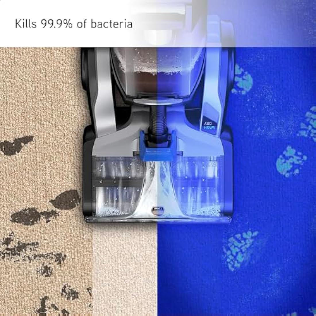 Vax Platinum Antibacterial 1.5L Carpet Cleaner Solution, Stain Remover Shampoo, Citrus Burst Scent, Removes 99.99% of bacteria, Neutralises Pet Odours, 1-9-142404, Blue