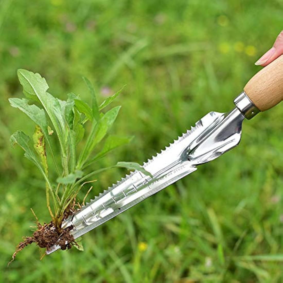 Garden Weeding Tools Multifunctional Manual Weeder Wooden Handle Weed Remover Tool,Stainless Steel Weeder with Measure, Dandelion Removal Tool Hand Weed Puller for Garden Yard Patio Lawn Transplant