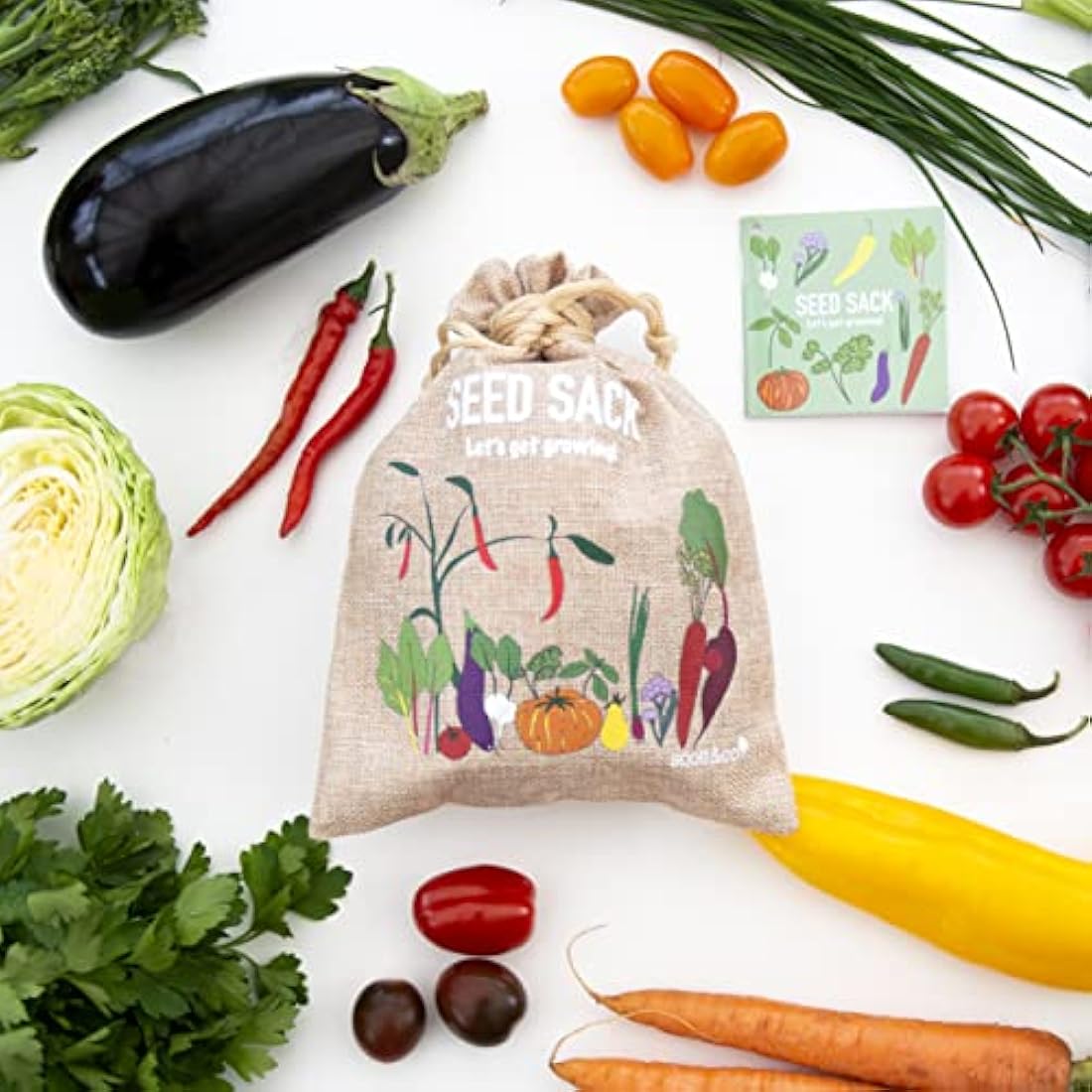 Scott & Co. Vegetable Seeds Variety Pack - 30 Different Varieties of Vegetables, Beans, Herbs and Tomato Seeds. Grow Indoor and Outdoor. Gardening Gifts for Women and Men