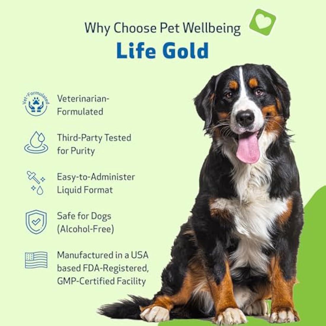 Life Gold for Dogs - Supports Detoxification & Healthy Immune Defenses, Astragalus, Burdock, Sheep Sorrel - Pet Wellbeing Vet-Formulated Holistic Supplement – 2 oz (59 ml)