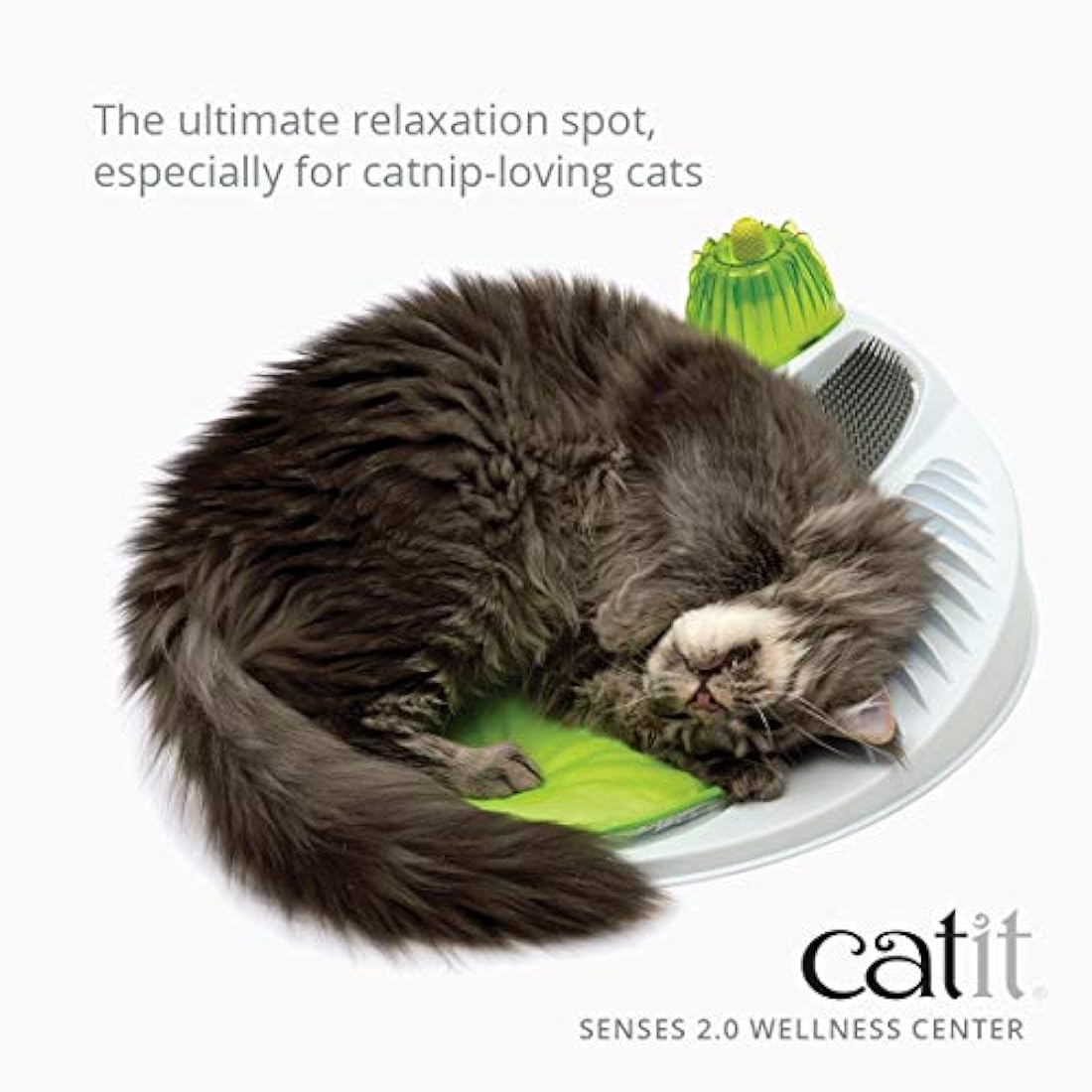 Catit Senses Wellness Centre,Green