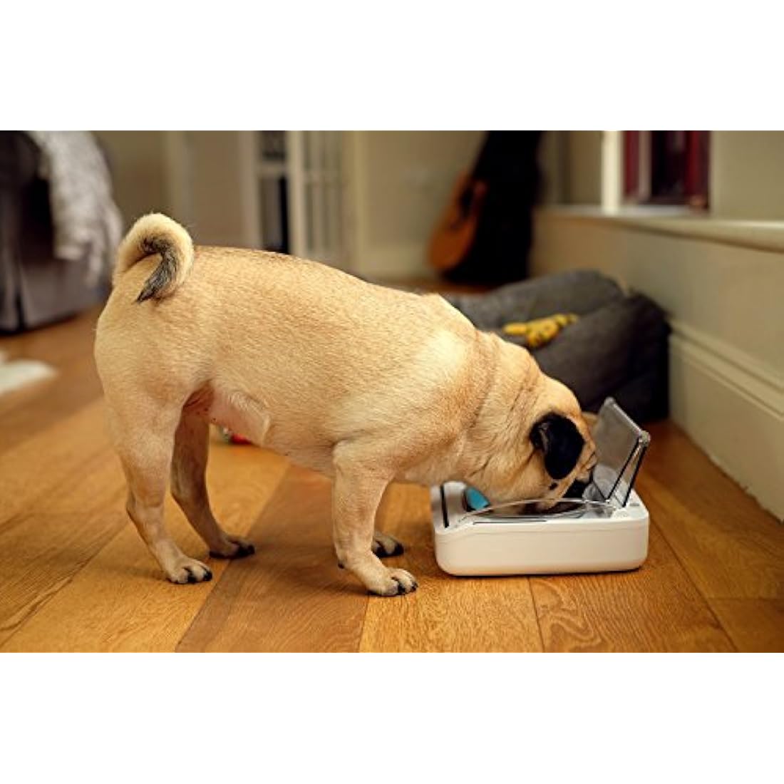 Sure Petcare SureFeed Sealed Pet Bowl for Cats and Small Dogs, Motion Activated Lid, Works for Wet and Dry Food, Keeps Food Fresh, Locks Odours in, White, 4xC Cell Batteries Required, Not Included