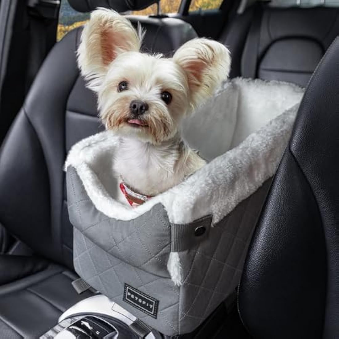 Petsfit Dog Car Seat, Center Console Dog Car Seat with Safe Protection Hooks, Pet Car Seat with Upgraded Safety Tethers, Washable Cushion, Console Dog Car Seats for Small Dogs Up to 6KG (Deep Grey)