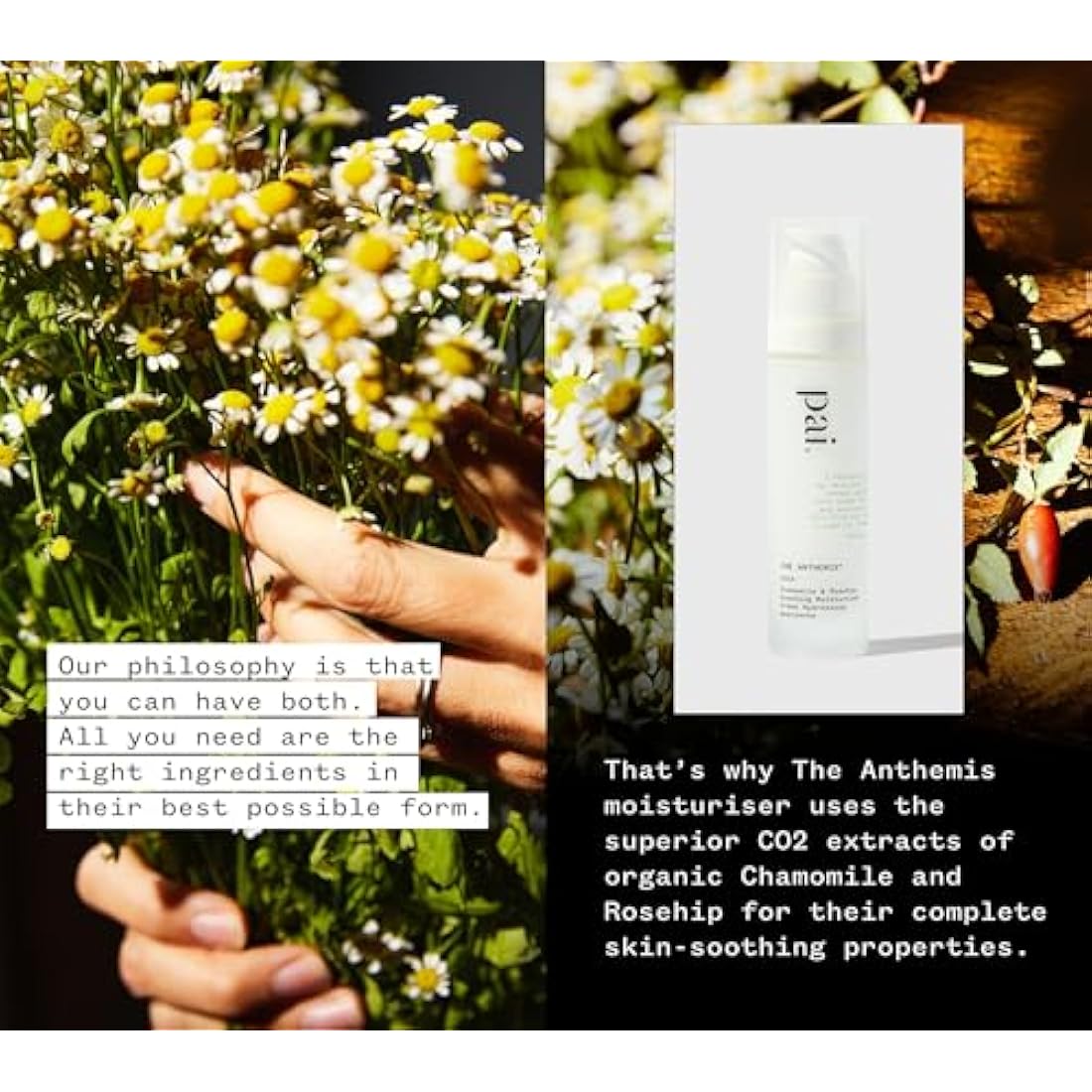 Pai Skincare The Anthemis Moisturiser 50ml, Face Moisturiser for Sensitive Skin, Calming Face Cream with Chamomile & Rosehip, Hydrates for Up to 24 Hours, Vegan & Cruelty-Free