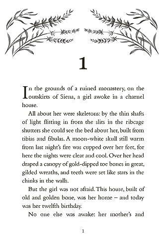 A Secret of Birds & Bone: from the bestselling author of The Girl of Ink & Stars