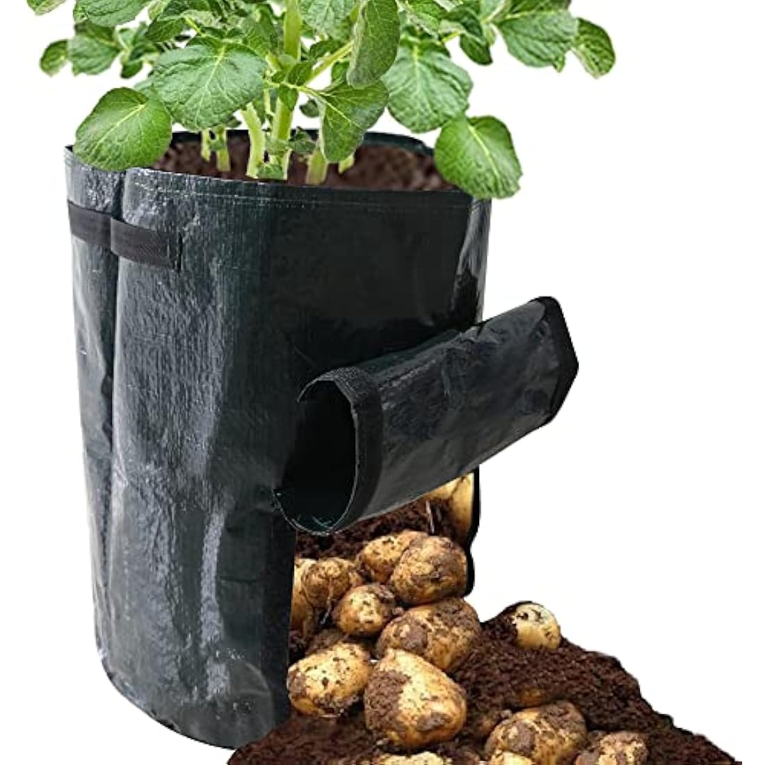 Ram® 4 Pack 7 Gallon Potato Grow Bag set. Garden Plant Bags for potatoes, carrots, tomatoes, cucumbers and other Vegetables. Made in Green Polyethylene Complete